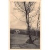 Rare collectable postcards of Austria. Vintage Postcards of Austria