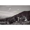 Rare collectable postcards of Austria. Vintage Postcards of Austria