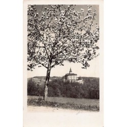 Rare collectable postcards of Czech Republic. Vintage Postcards of Czech Republic