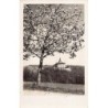 Rare collectable postcards of Czech Republic. Vintage Postcards of Czech Republic