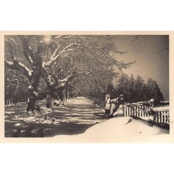 Rare collectable postcards of Czech Republic. Vintage Postcards of Czech Republic
