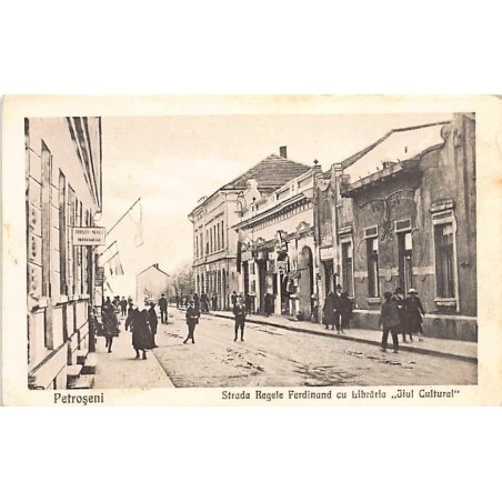 Rare collectable postcards of ROMANIA. Vintage Postcards of ROMANIA