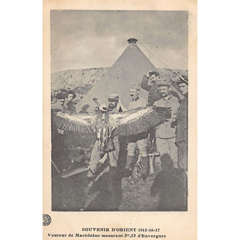 Rare collectable postcards of Greece. Vintage Postcards of Greece