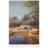Rare collectable postcards of Greece. Vintage Postcards of Greece
