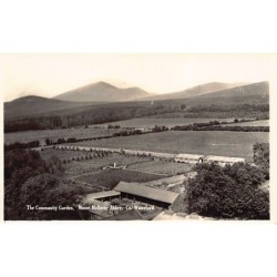 Rare collectable postcards of Ireland. Vintage Postcards of Ireland