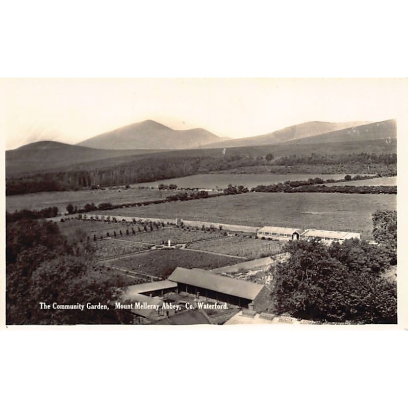 Rare collectable postcards of Ireland. Vintage Postcards of Ireland
