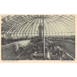 Rare collectable postcards of Italy. Vintage Postcards of Italy