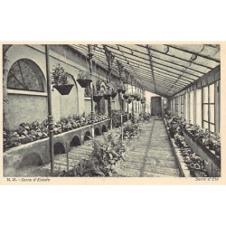 Rare collectable postcards of Italy. Vintage Postcards of Italy