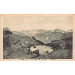 Rare collectable postcards of Italy. Vintage Postcards of Italy