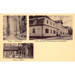 Rare collectable postcards of ROMANIA. Vintage Postcards of ROMANIA
