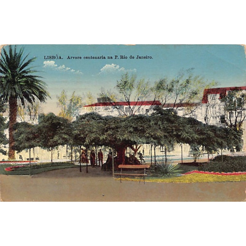 Rare collectable postcards of Portugal. Vintage Postcards of Portugal