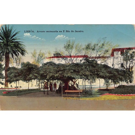 Rare collectable postcards of Portugal. Vintage Postcards of Portugal