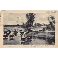 Rare collectable postcards of Portugal. Vintage Postcards of Portugal