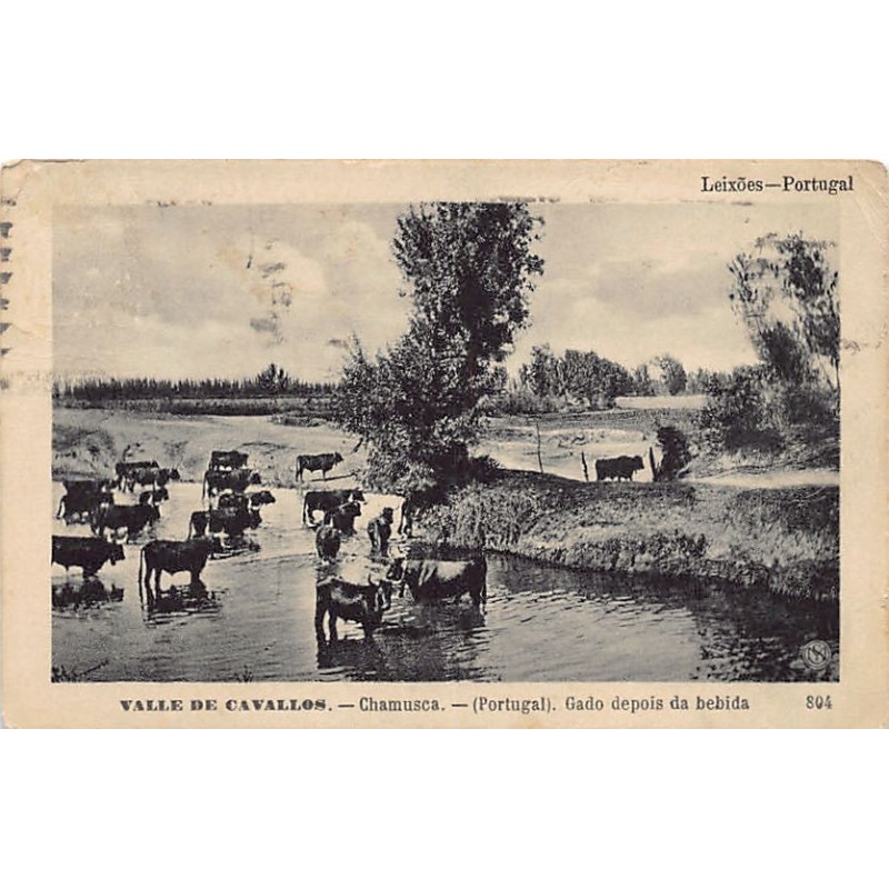 Rare collectable postcards of Portugal. Vintage Postcards of Portugal