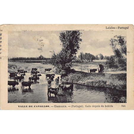 Rare collectable postcards of Portugal. Vintage Postcards of Portugal