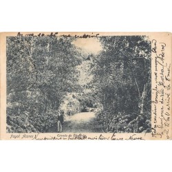 Rare collectable postcards of Portugal. Vintage Postcards of Portugal