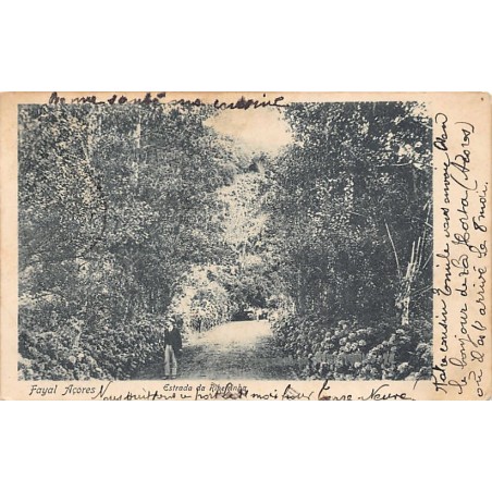 Rare collectable postcards of Portugal. Vintage Postcards of Portugal