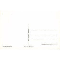 Rare collectable postcards of Portugal. Vintage Postcards of Portugal