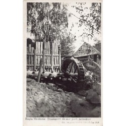 Rare collectable postcards of Romania. Vintage Postcards of Romania