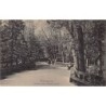 Rare collectable postcards of Russia. Vintage Postcards of Russia