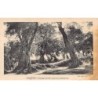 Rare collectable postcards of Serbia. Vintage Postcards of Serbia