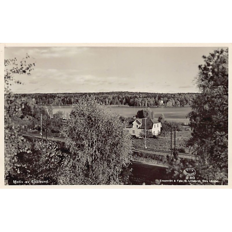 Rare collectable postcards of Sweden. Vintage Postcards of Sweden