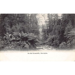 Rare collectable postcards of Australia. Vintage Postcards of Australia