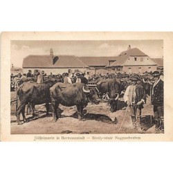 Rare collectable postcards of ROMANIA. Vintage Postcards of ROMANIA