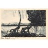 Rare collectable postcards of New Caledonia. Vintage Postcards of New Caledonia