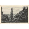 Rare collectable postcards of New Caledonia. Vintage Postcards of New Caledonia