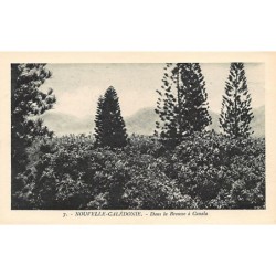 Rare collectable postcards of New Caledonia. Vintage Postcards of New Caledonia