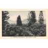 Rare collectable postcards of New Caledonia. Vintage Postcards of New Caledonia