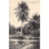 Rare collectable postcards of Guadeloupe. Vintage Postcards of Guadeloupe