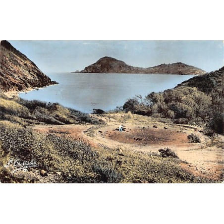 Rare collectable postcards of Guadeloupe. Vintage Postcards of Guadeloupe