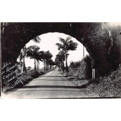 Rare collectable postcards of Guadeloupe. Vintage Postcards of Guadeloupe