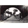 Rare collectable postcards of Guadeloupe. Vintage Postcards of Guadeloupe