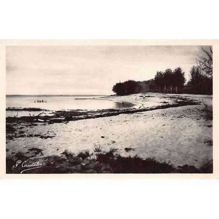 Rare collectable postcards of Guadeloupe. Vintage Postcards of Guadeloupe