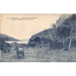 Rare collectable postcards of Guadeloupe. Vintage Postcards of Guadeloupe