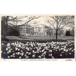 Rare collectable postcards of United Kingdom - England. Vintage Postcards of United Kingdom - England