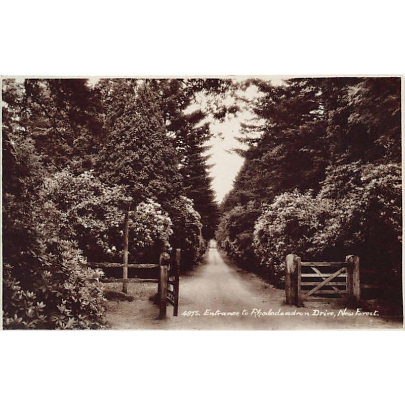 Rare collectable postcards of United Kingdom - England. Vintage Postcards of United Kingdom - England