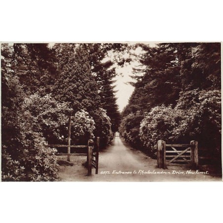 Rare collectable postcards of United Kingdom - England. Vintage Postcards of United Kingdom - England