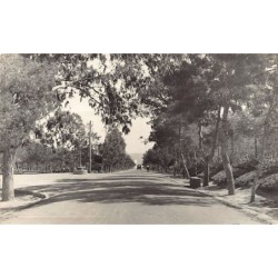 Rare collectable postcards of Spain. Vintage Postcards of Spain