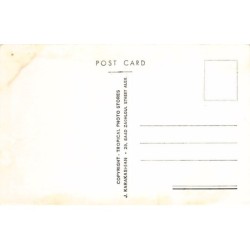 Rare collectable postcards of Egypt. Vintage Postcards of Egypt