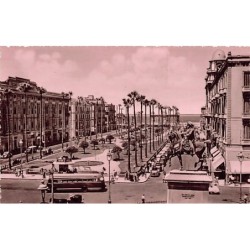 Rare collectable postcards of Egypt. Vintage Postcards of Egypt
