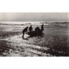 Rare collectable postcards of Senegal. Vintage Postcards of Senegal