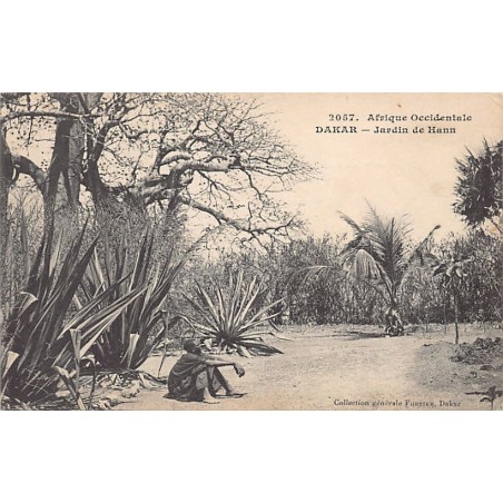 Rare collectable postcards of Senegal. Vintage Postcards of Senegal