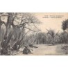 Rare collectable postcards of Senegal. Vintage Postcards of Senegal