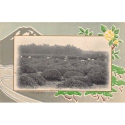 Rare collectable postcards of Japan. Vintage Postcards of Japan