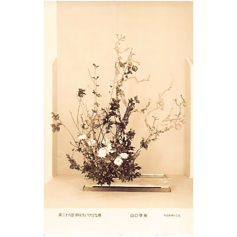 Rare collectable postcards of Japan. Vintage Postcards of Japan