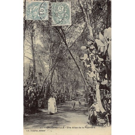 Rare collectable postcards of Algeria. Vintage Postcards of Algeria